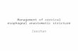 Management of cervical esophageal anastomotic stricture