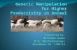 Genetic manipulation of animals for higher productivity