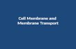 Cell membrane and membrane transport updated