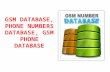 Gsm database, phone numbers database