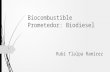 Biocombustible prometedor