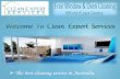 Clean Expert Services in Perth