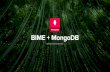 BIME Analytics : Mongo DB v.3