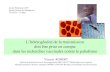 Transmission heterogeneity has consequences on malaria vaccine researches