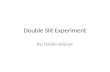 The Double Slit Experiment by Danilo Veljovic