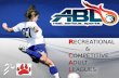 Abl sports leagues