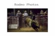 Rodeo photos 2