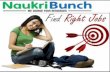 Naukribunch.com - Find Jobs Online Chandigarh, Mohali, Panchkula