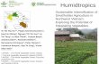 Sustainable Intensification of Smallholder Agriculture in Northwest Vietnam: Exploring the Potential of Integrating Vegetables by afarisefa  et al.