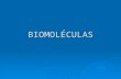 Biomoléculas   agua
