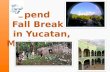 Yucatan Fall Break Trip