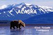 Alaska - Eloi