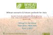 Wheat challenges and prospects in Asia