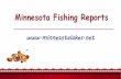 Minnesota Fishing Reports