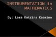 Instrumentation in mathematics (Instructional Materials)