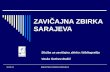 Zavicajna zbirka Sarajeva