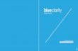 Blue Clarity Brochure 2015