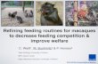 Refining feeding routines for macaques
