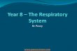 Yr8 - respiratory system