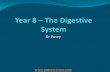 Yr8 - digestive system