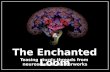 The Enchanted Loom reviews, Marc Lewis's book, Memoirs of an Addicted Brain