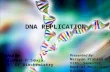 Dna replication and enzymes involved in dna replication