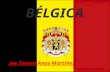 Bélgica joe