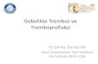 Gebelikte Tromboz ve Trombofilaksi