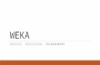 Weka project 55102010999