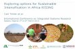 Exploring options for Sustainable Intensification in Africa RISING by Carl Timler et al