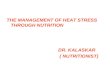 Management of heat stress through nutrition