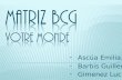 Matriz BCG - Votre Monde