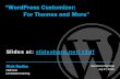 WordPress customizer: for themes and more