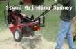 Stump grinding sydney
