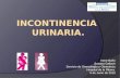 Incontinencia Urinaria (por Irene Baño y Susana Gallach)