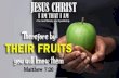Therefore by their fruits you will know them