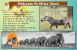Mafia Island Package- Africa ToursIsland packages in africa tours