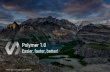 Polymer 1.0: easier, faster, better!