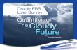 Oracle EBS User Survey: Quantifying the Cloudy Future