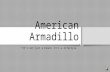 American Armadillo,Inc