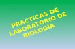 PRACTICAS DE LABORATORIO DE BIOLOGIA.