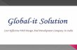 Global it solution, web design company pitampura