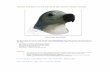 Latex Animal Dodo Bird Party Mask
