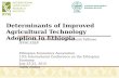Determinants of Improved Agricultural Technology Adoption in Ethiopia