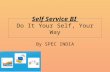Self service bi   do it your self, your way