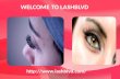 Eyelash extensions training in DenverLashblvd