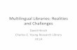 Multilingual libraries - realities and challenges