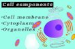 Cell biology | components of cell