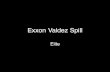 Exxon Spill Vadez