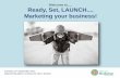 Ready set launch: how to market your mediation business presentation Lewis